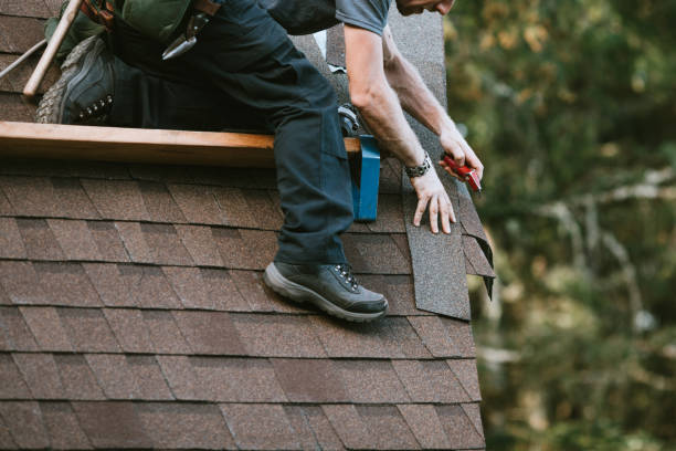 Gutter Installation and Roofing in Chebanse, IL