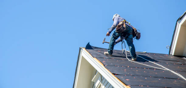 Best Roof Gutter Cleaning  in Chebanse, IL